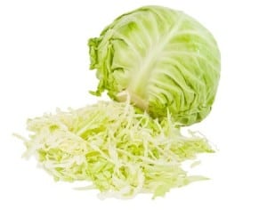 cabbage