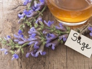 sage for stress