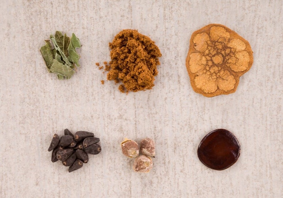 Pharmacology plant medicine