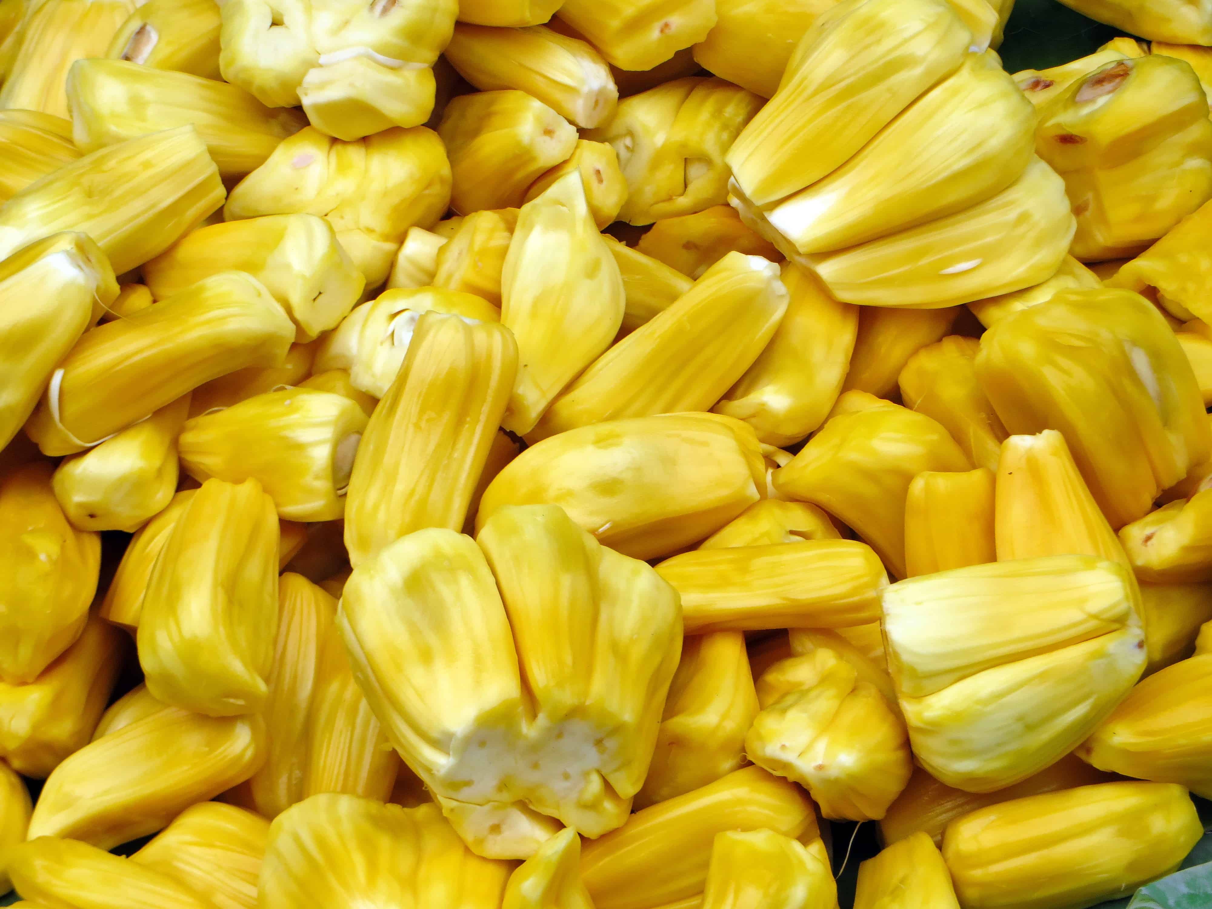 jackfruit benefits jackfruit benefits
