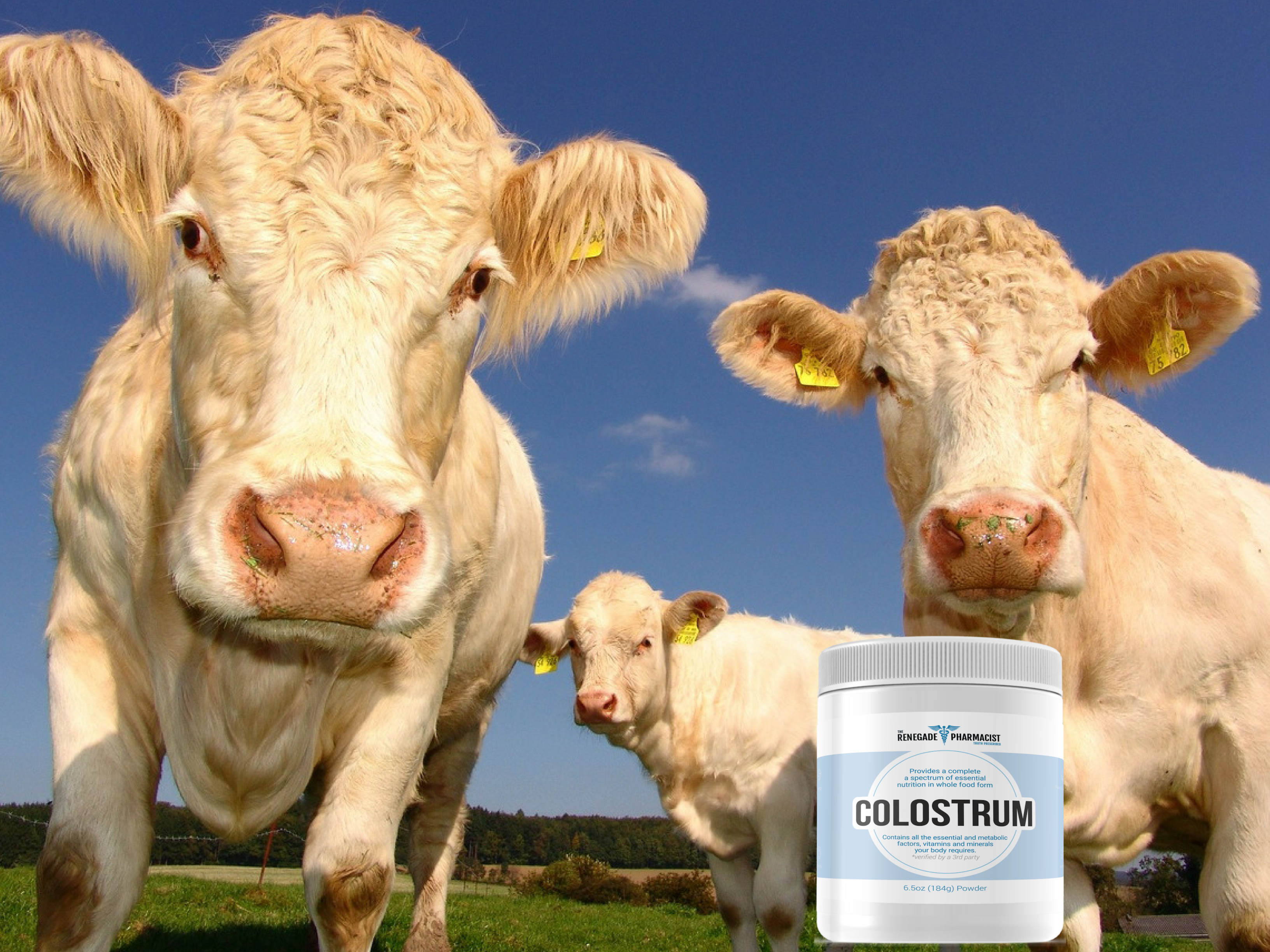 Leaky gut supplements