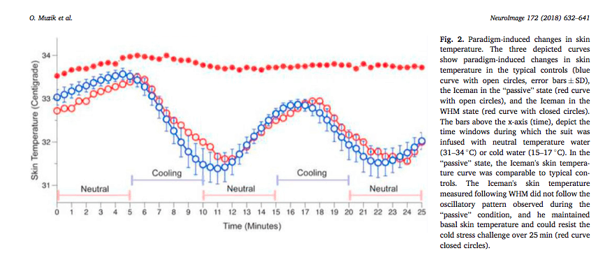 wim hof method brain over body